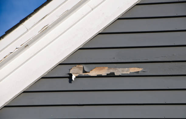 Best Wood Siding Installation  in Depoe Bay, OR